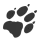 Jack Wolfskin